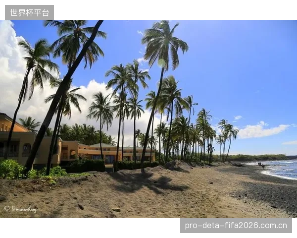 夏威夷Kona赛场的实战检验:Suunto如何借助其降噪算法攻克公开水域游泳时的光学心率读取难题 夏威夷Kona赛场的实战检验:Suunto如何借助其降噪算法攻克公开水域游泳时的光学心率读取难题